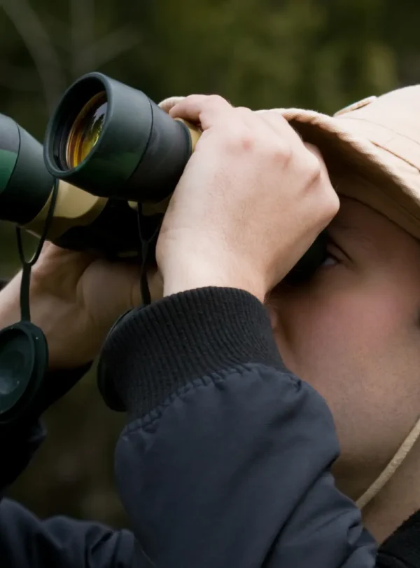 Birdwatching