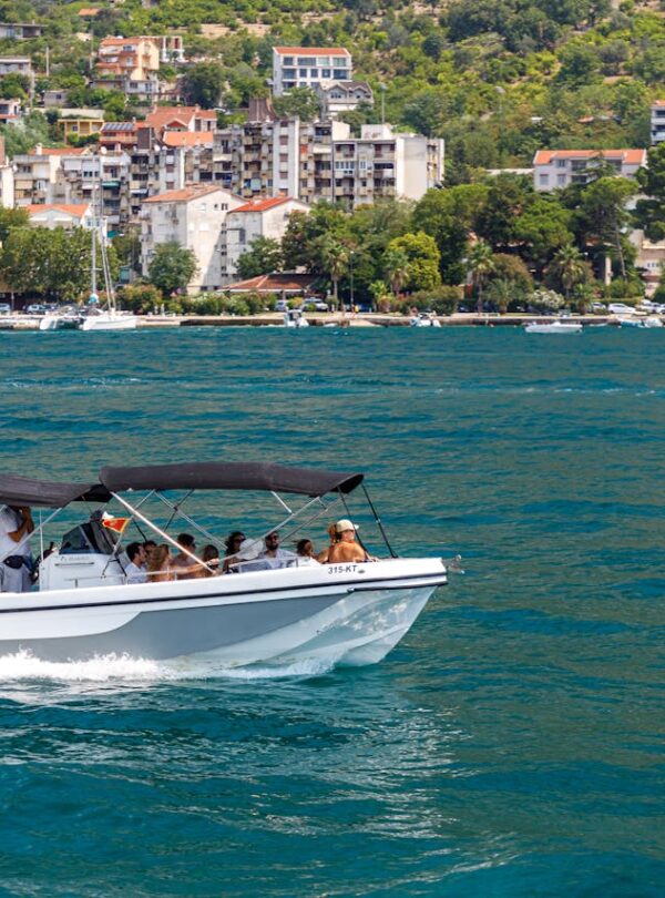 Boat & Marine Tours