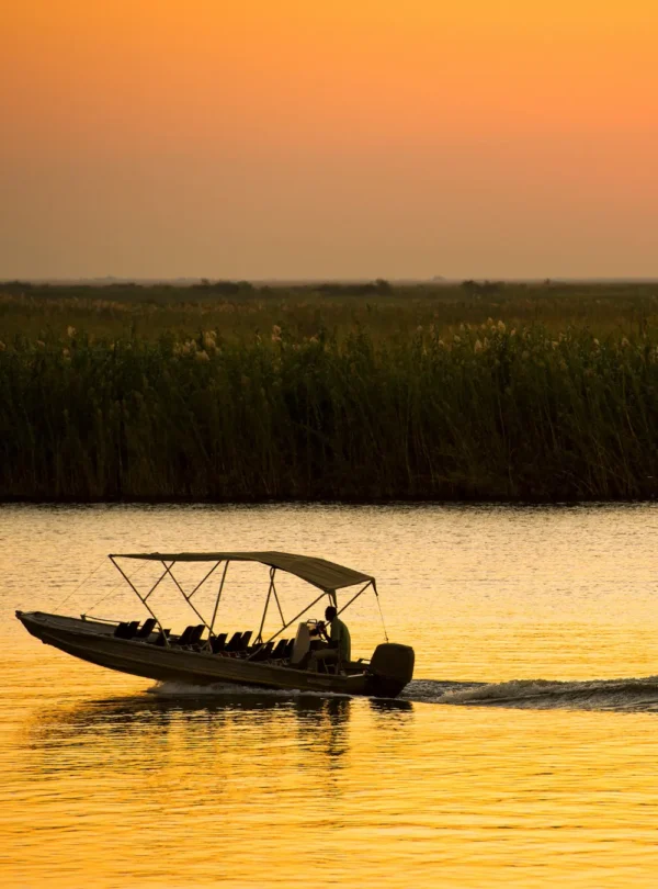 Boat Safari