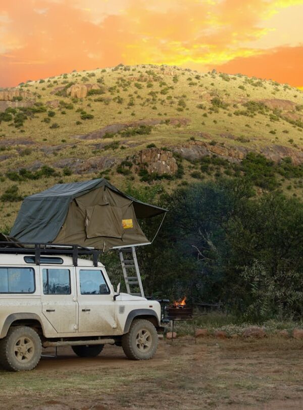 Camping Safari
