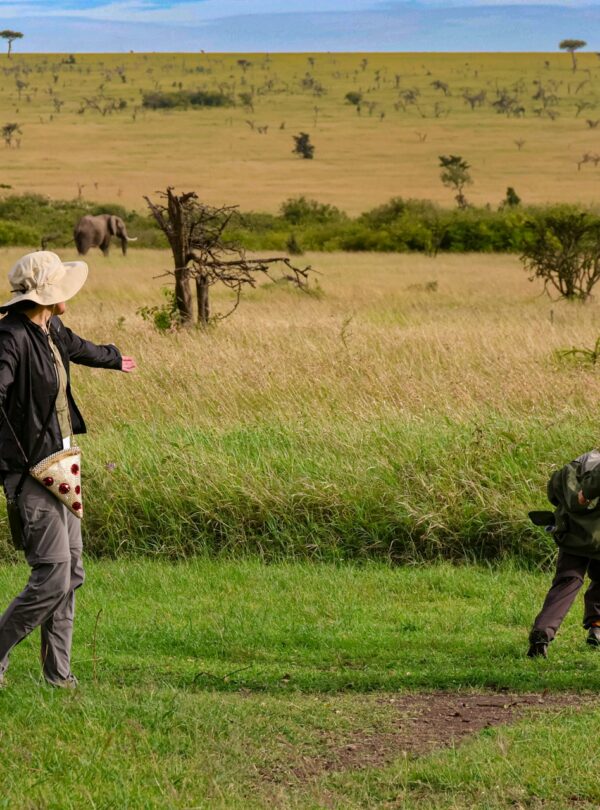 Family Safari