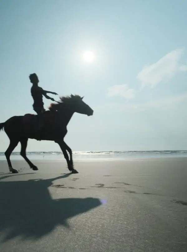 Horseback & Equestrian Safaris