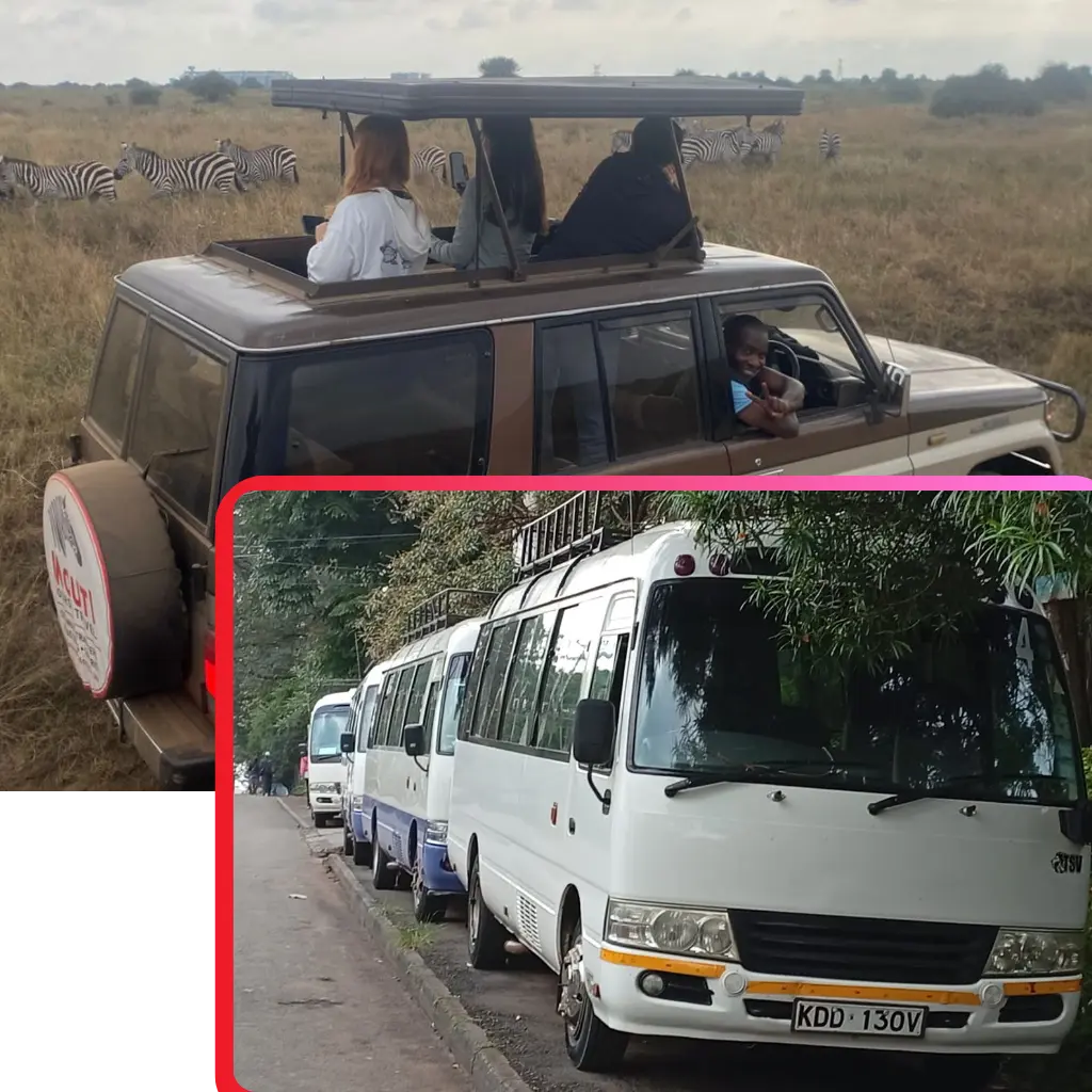 About Us - Mouti Tours