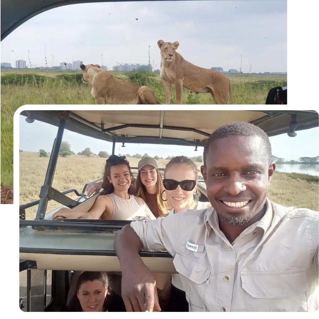 Mouti tours & Travel