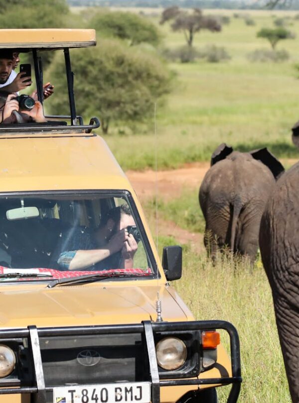 Photography Safaris & Hide Experiences