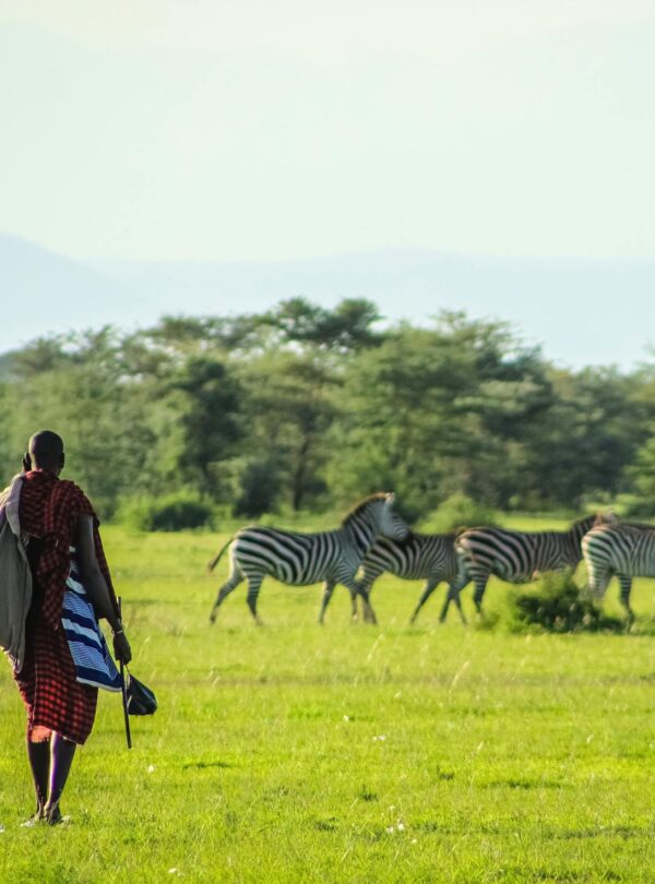 Walking Safari