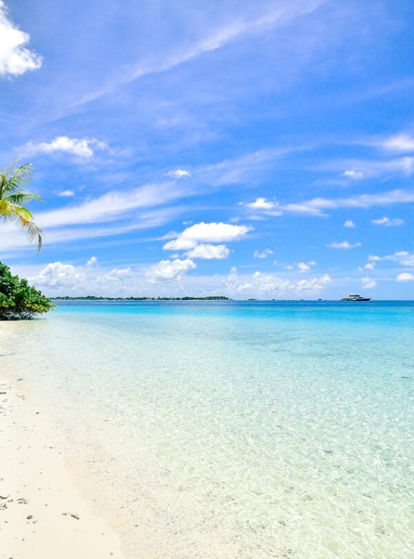 Wildlife & Beach Combo