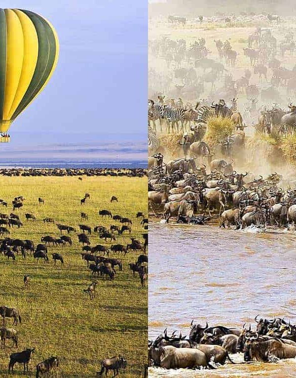 maasai mara