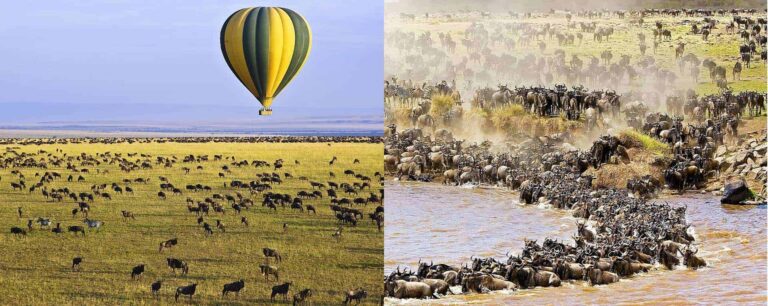 maasai mara