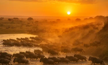 Maasai Mara & Lake Nakuru Lodge Safari