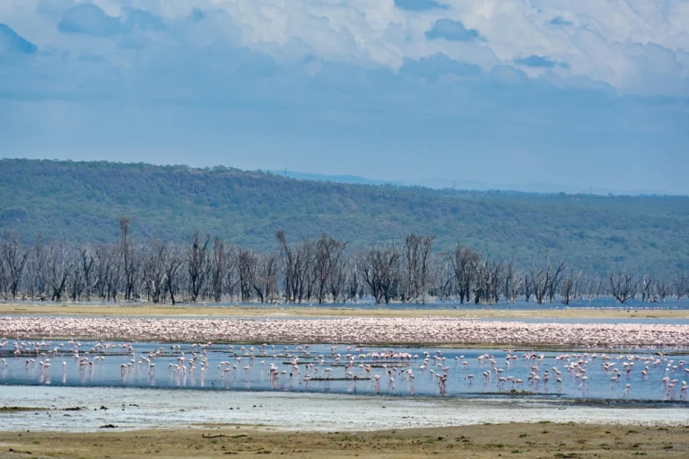 Lake Nakuru National Park