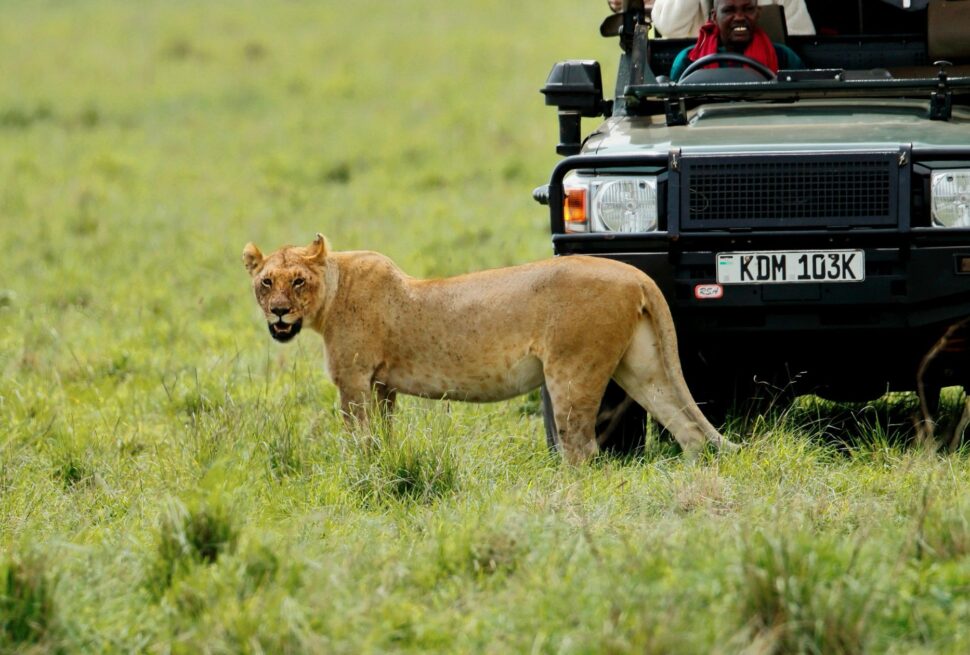 Best Kenya Safari Itinerary