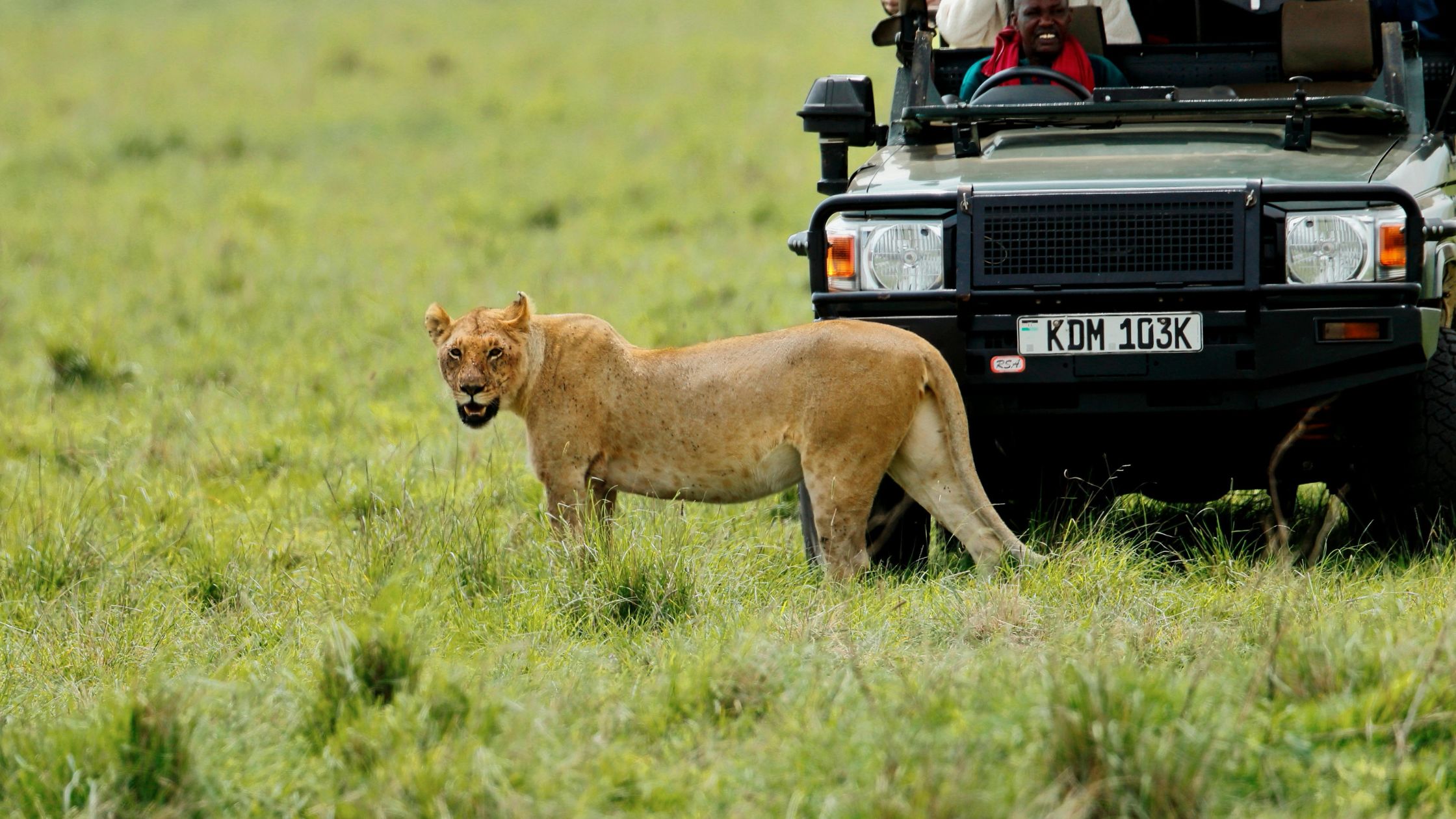 Best Kenya Safari Itinerary