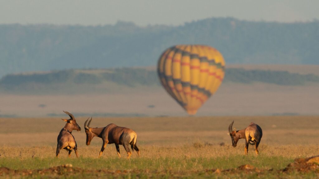 Kenya safari cost breakdown