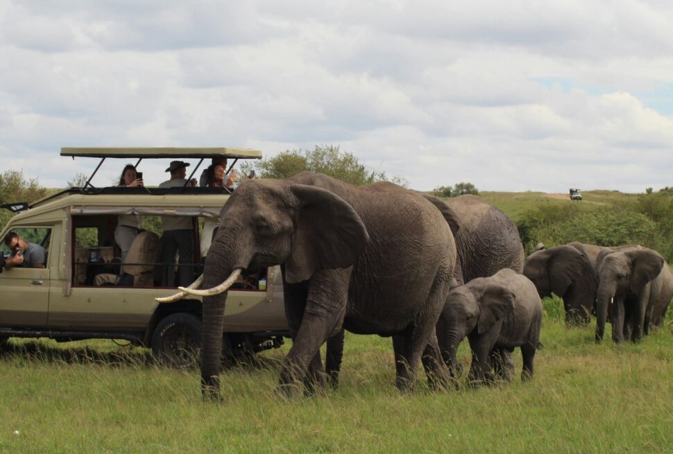 Kenya safari cost breakdown