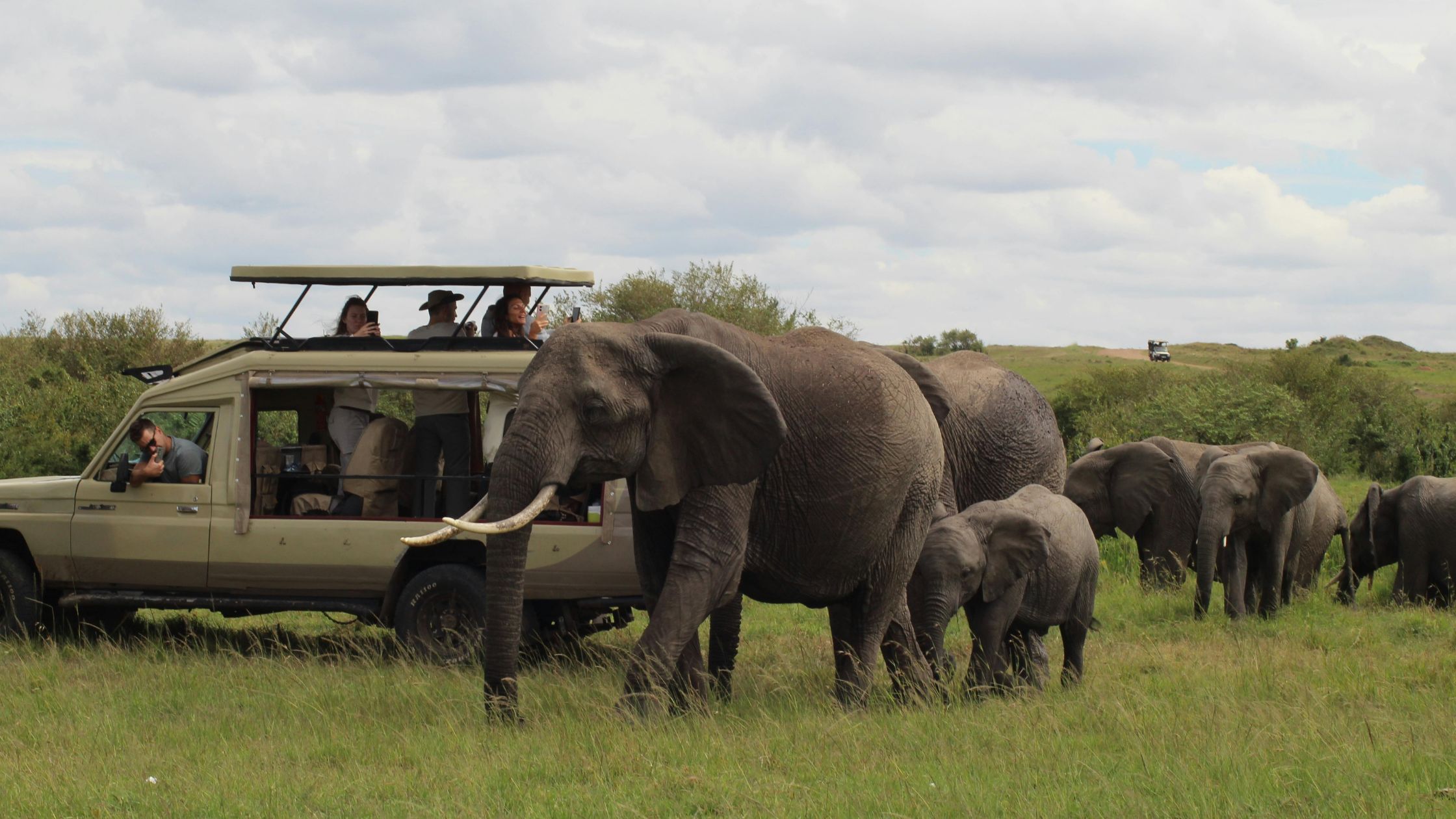 Kenya safari cost breakdown