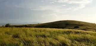 Ndere Island National Park is a small, scenic island park located in Lake Victoria, near Kisumu in western Kenya.