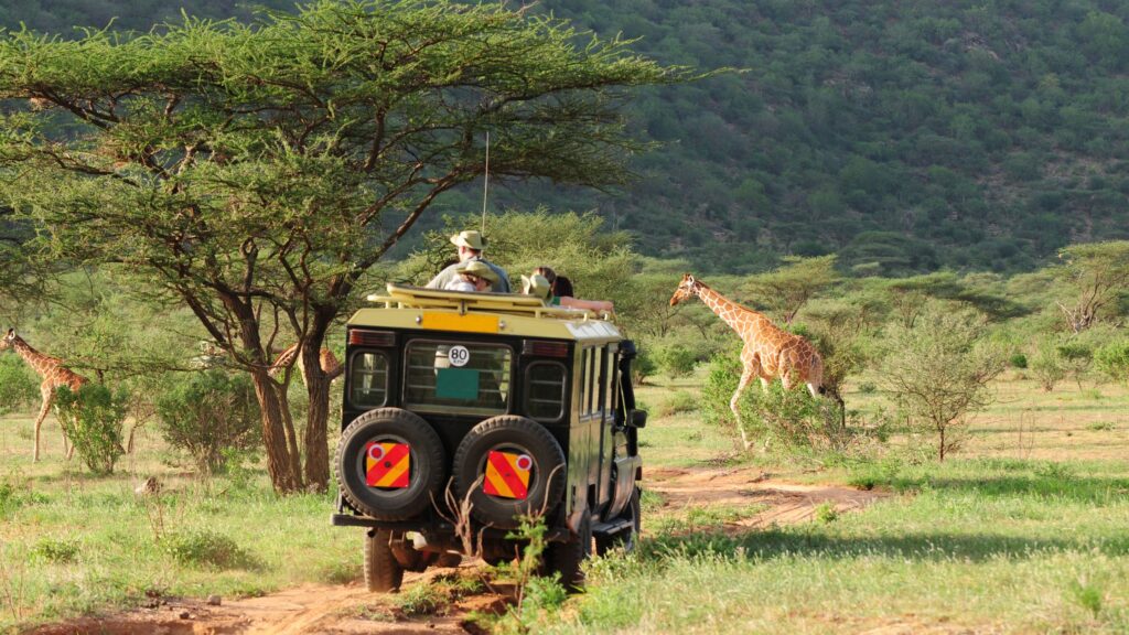 how to plan a Kenya safari