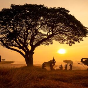 how to plan a Kenya safari