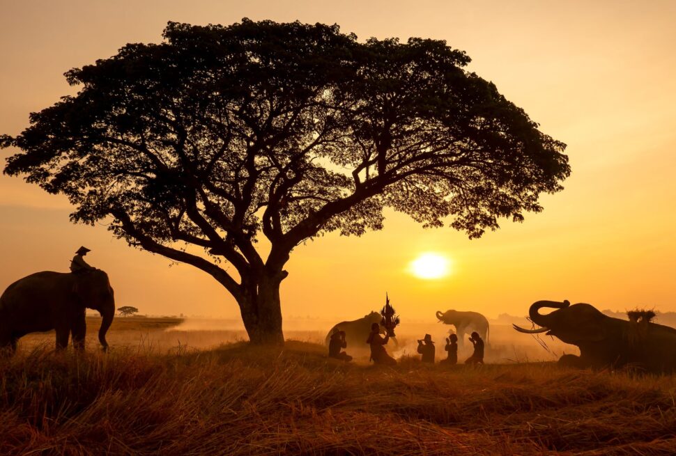 how to plan a Kenya safari