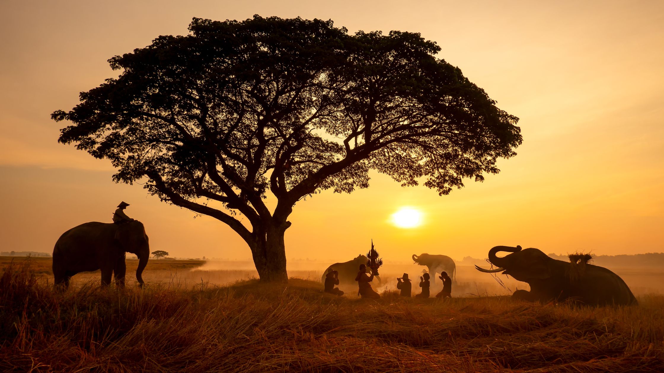how to plan a Kenya safari